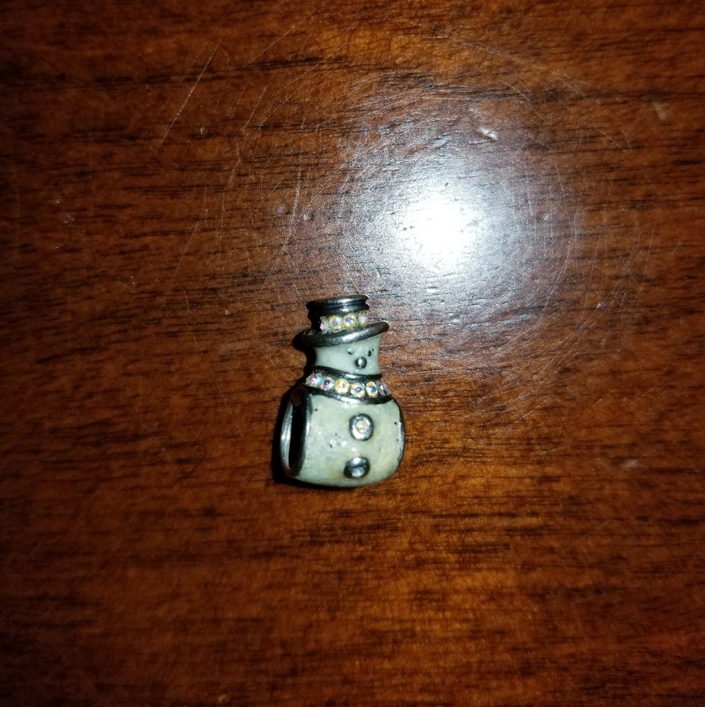 Chamilia bead
